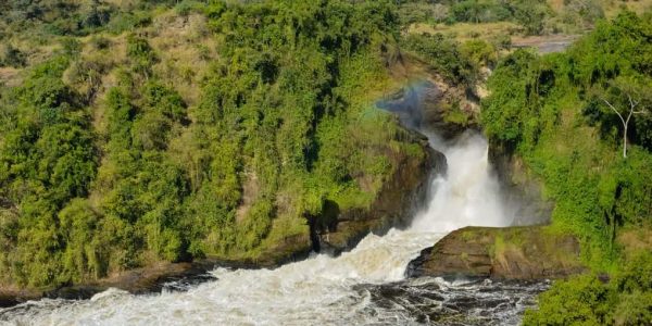 3 Days Murchison Falls safari Uganda - Wild Jungle Trails Safaris