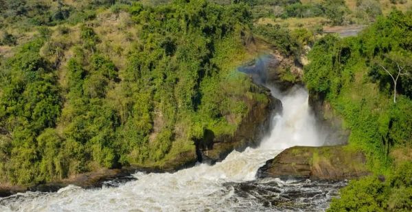 3 Days Murchison Falls safari Uganda - Wild Jungle Trails Safaris