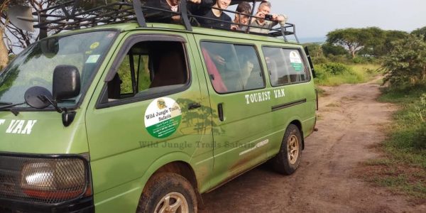 Car Hire Rentals in Uganda Rwanda - Wild Jungle Trails Safaris
