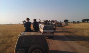 How to keep safe in a National Park –Travel News