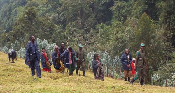 Nature Walks in Gishwati-Mukura National Park