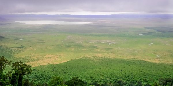 Ngorongoro conservation Area