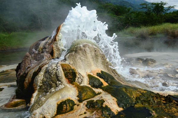 Semuliki National Park Uganda Wildlife Safaris and Hot Springs in Semuliki