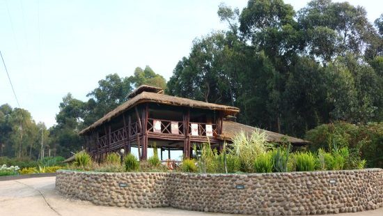 Da Vinci Gorilla Lodge rwanda