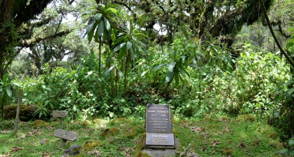 Hiking to Dian Fossey grave