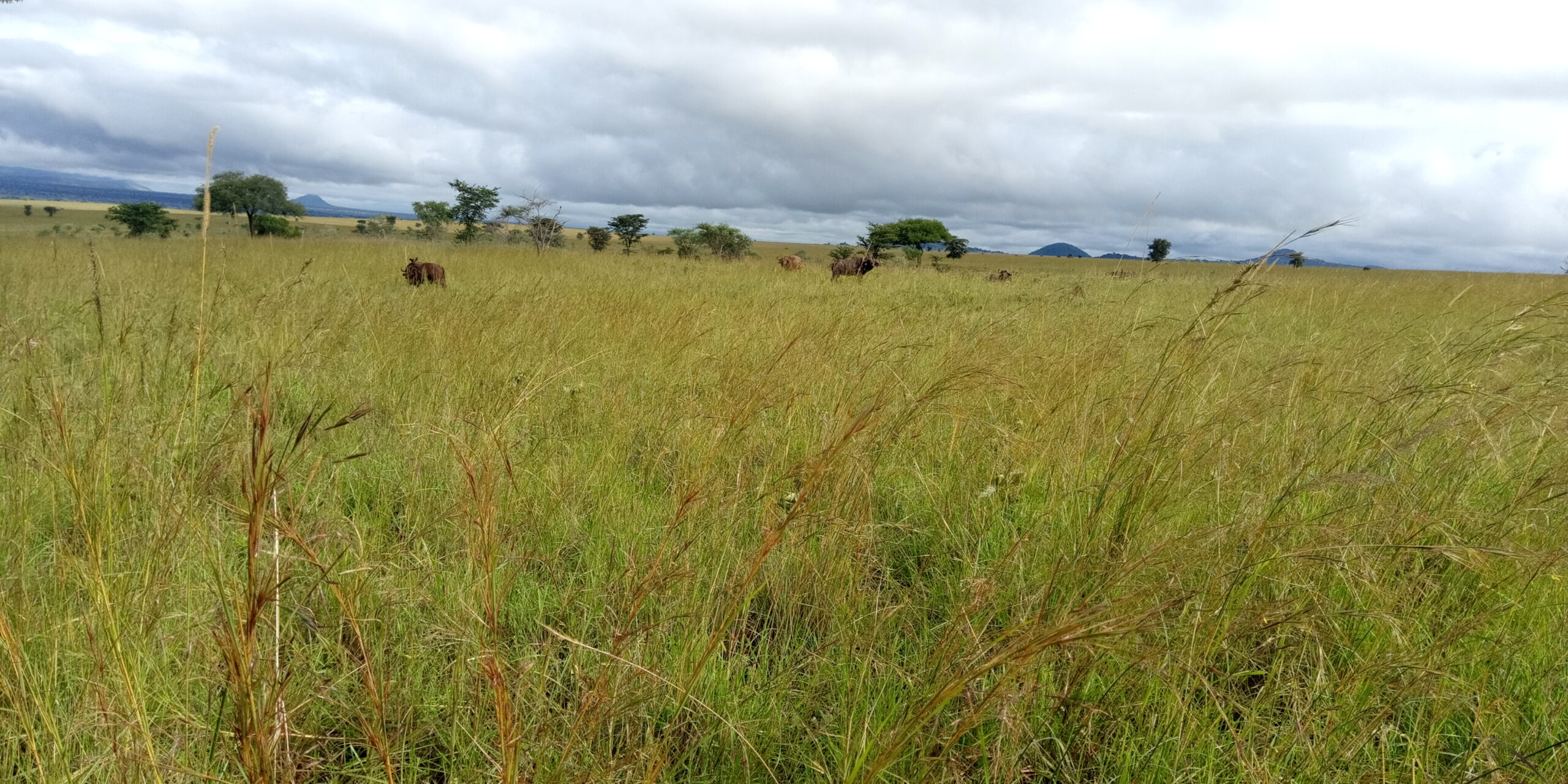 Kidepo Valley National Park travel information -Travel News