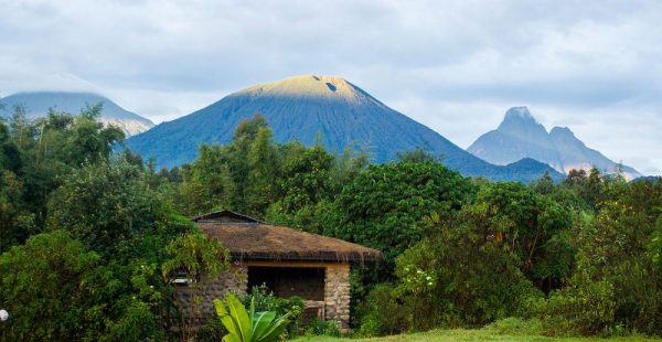 Mountain Gorilla View Lodge