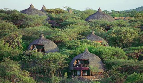 Serengeti Serena Safari lodge