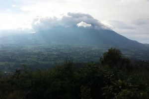 Volcanoes Park Rwanda 