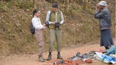 From-Gorillas-to-Lions–Uganda-Wildlife-Adventures