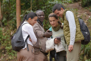 Gorilla Trekking Uganda: A Lifetime Safari Experience